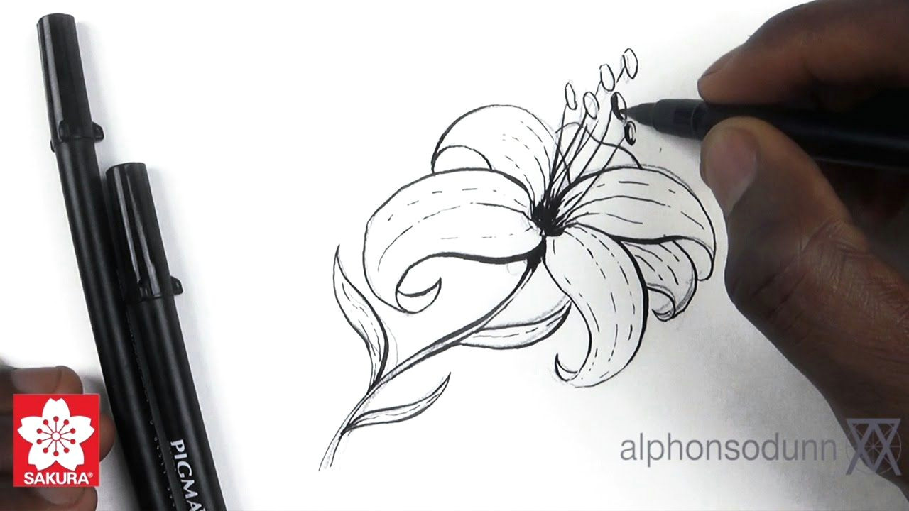 alphonso dunn of how 2 draw everything on youtube gives a great tutorial on drawing a lily using sakura s new line of pigma professional brush pens