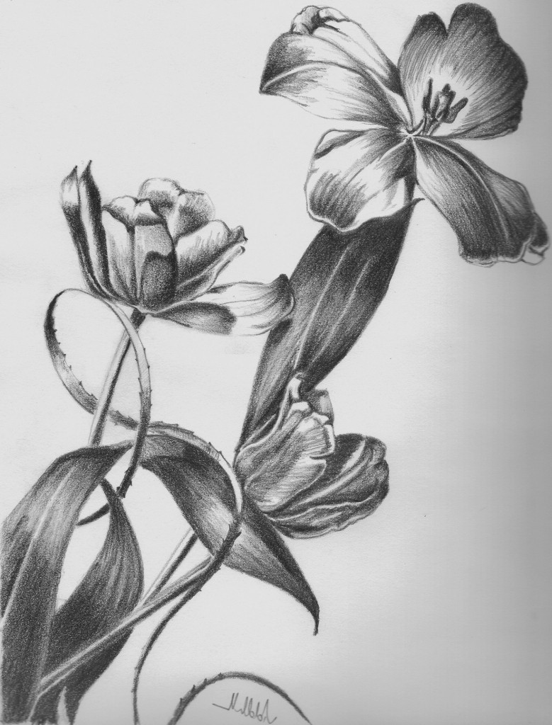 pencil sketches of flower vase drawn vase pencil sketch 1h vases flower drawing 5i 0d