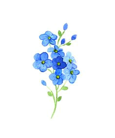 forget me not clip art vector images amp illustrations istock tattoo ideas flower