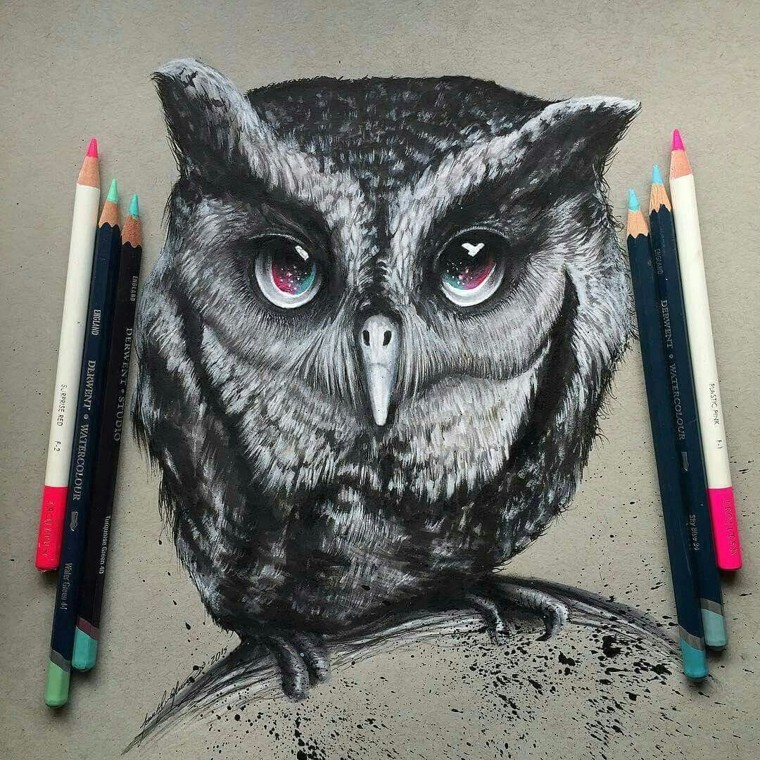 artist art amazing artwork awesome art pencil drawings owl drawings galaxy