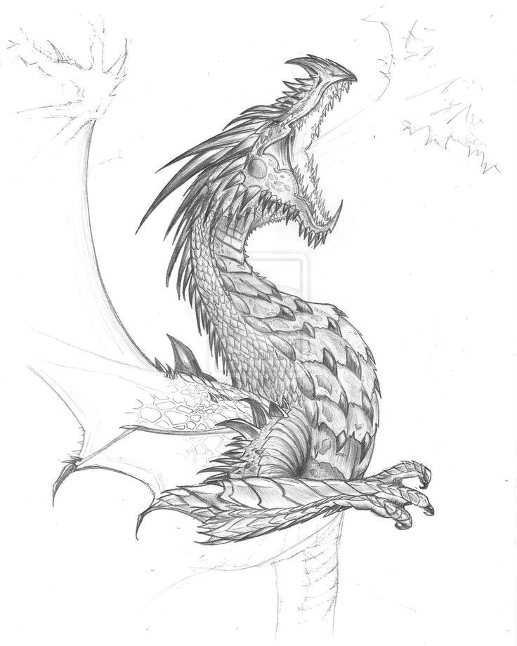 pin von shadow auf inspirational drawings girl dragon dragones und arte