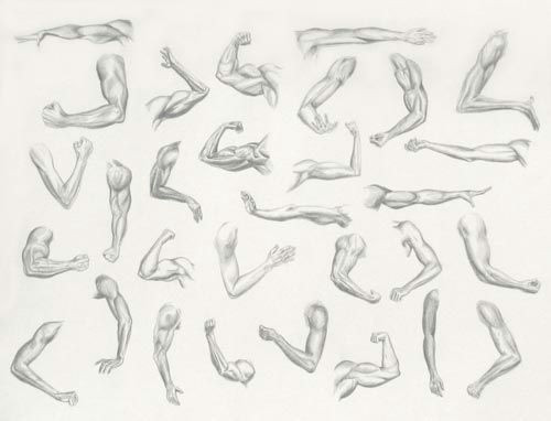 drawing of female arms google search