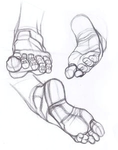 drawing studies art studies foot anatomy anatomy study anatomy art anatomy