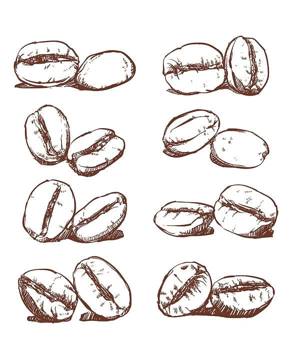 80 off sale coffee bean hand drawn vector sketch of coffee beans hand drawn coffeebean
