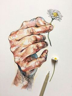 holding hands drawing hands holding flowers heart hands drawing illustration art drawing