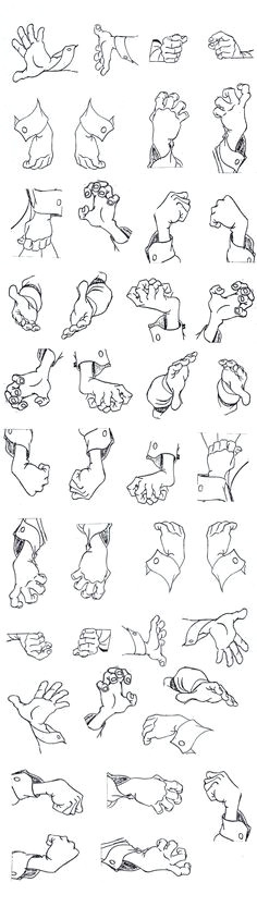 hands lady and the tramp a how to draw hands in different positions and from different angles human anatomy body study drawing reference