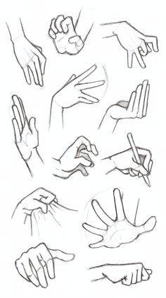 copy s and studies hands 2 by wonderingmind23 d88jezx jpg 1024a 1834 drawing hands hand drawing reference