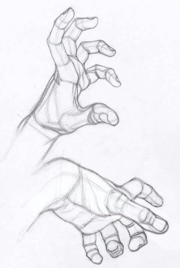 hand drawing by stefanolanza