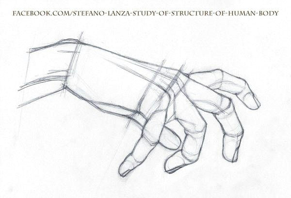 study by stefanolanza 1 drawings how to draw hands hand drawing reference