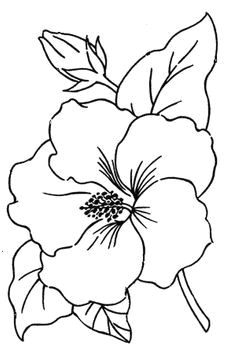 flor de hibiscus desenhos pesquisa google hibiscus flower drawing flower pattern drawing flower