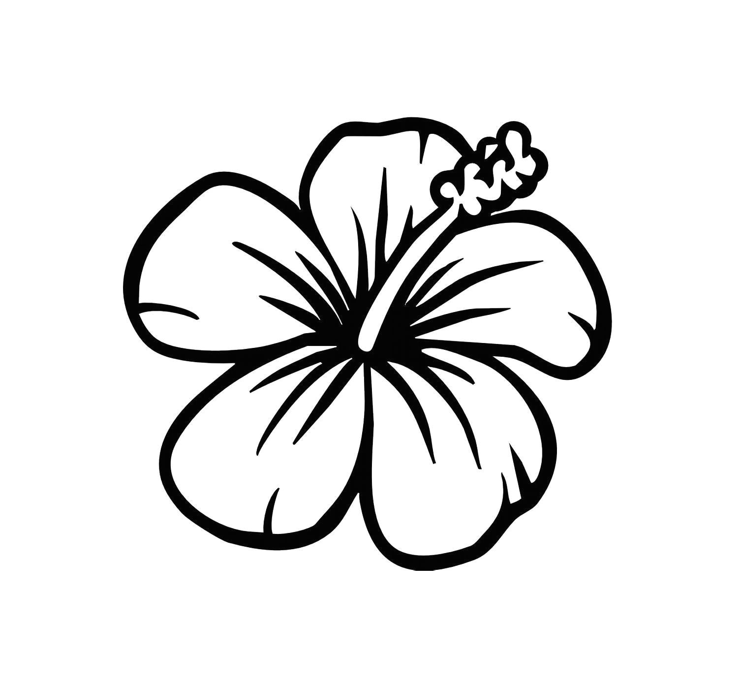 easy leaf outline image nextinvitation templates hawaiian flower drawing hibiscus flower drawing easy