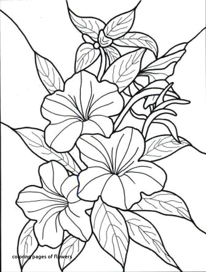 hawaii coloring pages unique hawaiian coloring pages 13 awesome hawaii coloring pages coloring of hawaii coloring