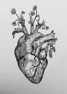 human heart tattoo heart flower tattoo heart anatomy tattoo real heart tattoos