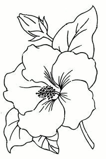 hibiscus flower drawing flower pattern drawing flower outline hawaii flowers drawing simple