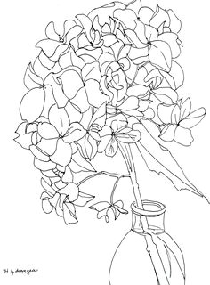 line drawing of hydrangeas google search contour line drawing contour drawings art drawings