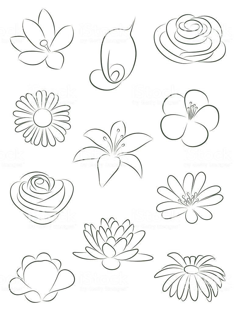 set of flowers vector illustration royalty free set of flowers vector illustration stock