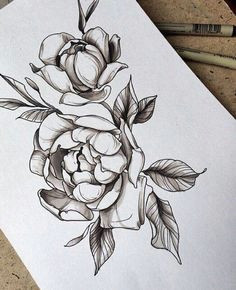 peony sketch by family ink
