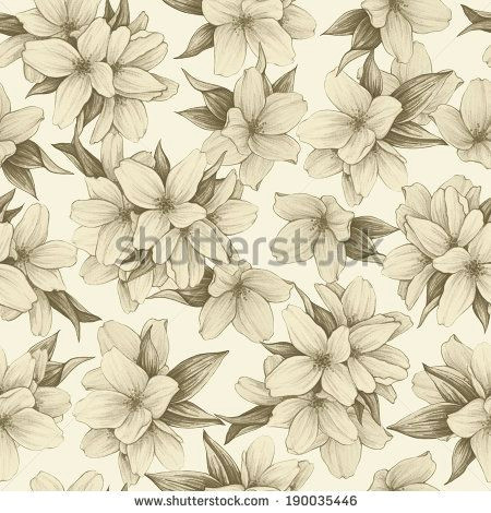 jasmine flower vintage google search