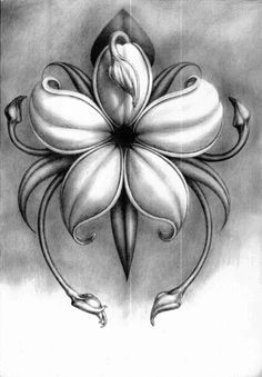 pencil drawings of flowers displaying 20 gallery images for pencil drawings of flowers art