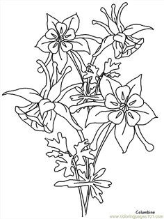 realistic flowers coloring page flower line drawings flower drawing images flower pictures art