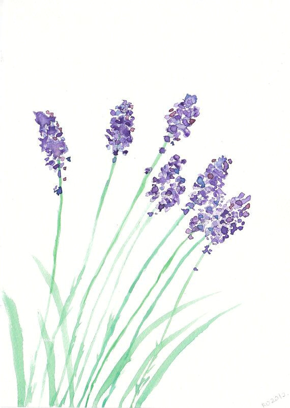 acuarela lavanda mas