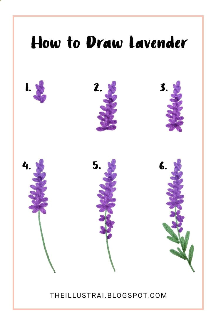 this is a very easy tutorial on how to draw lavender flowers in six steps you will be able to create beautiful drawings of lavender that you can a