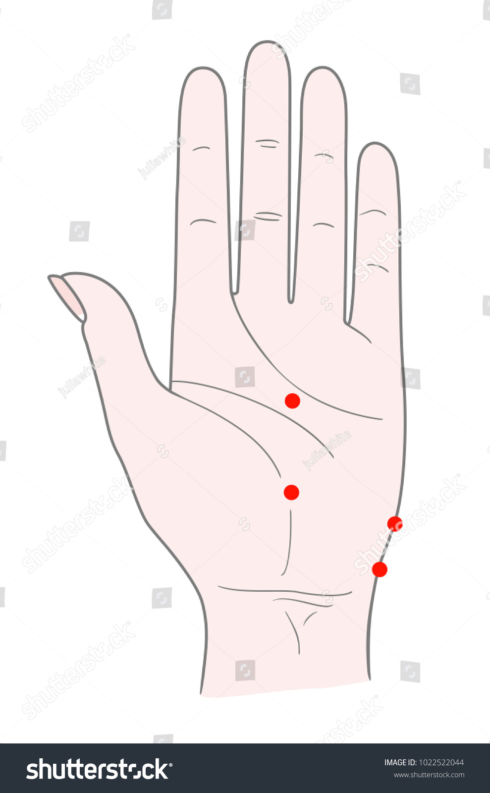 the inner side of the woman s left hand with dots for acupuncture massage vector