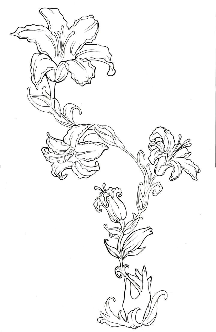 beautiful outline lily flowers tattoo design