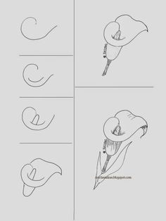 calla lily art class ideas how to draw flowers drawing flowers flower design