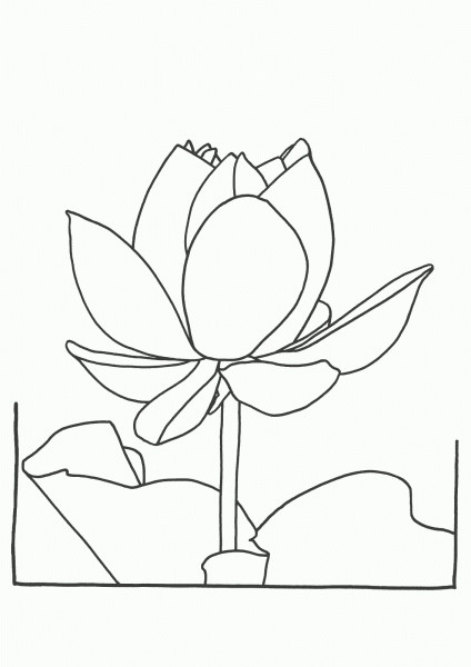 printable lotus flower coloring pages
