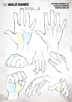 simplified anatomy 05 male hands