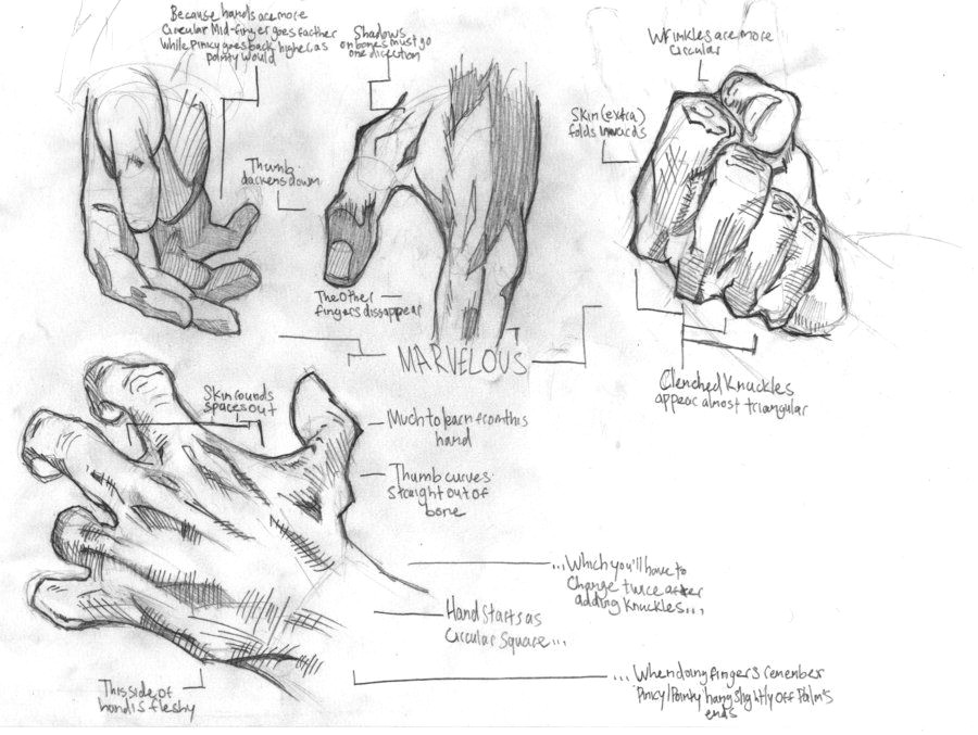 illustrations a hand study by thetrainingartist on deviantart