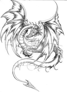 medieval dragon coloring pages coloring pages pictures imagixs