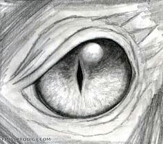 dragon eye sketch dragon eye drawing dragon sketch dragon art animal drawings