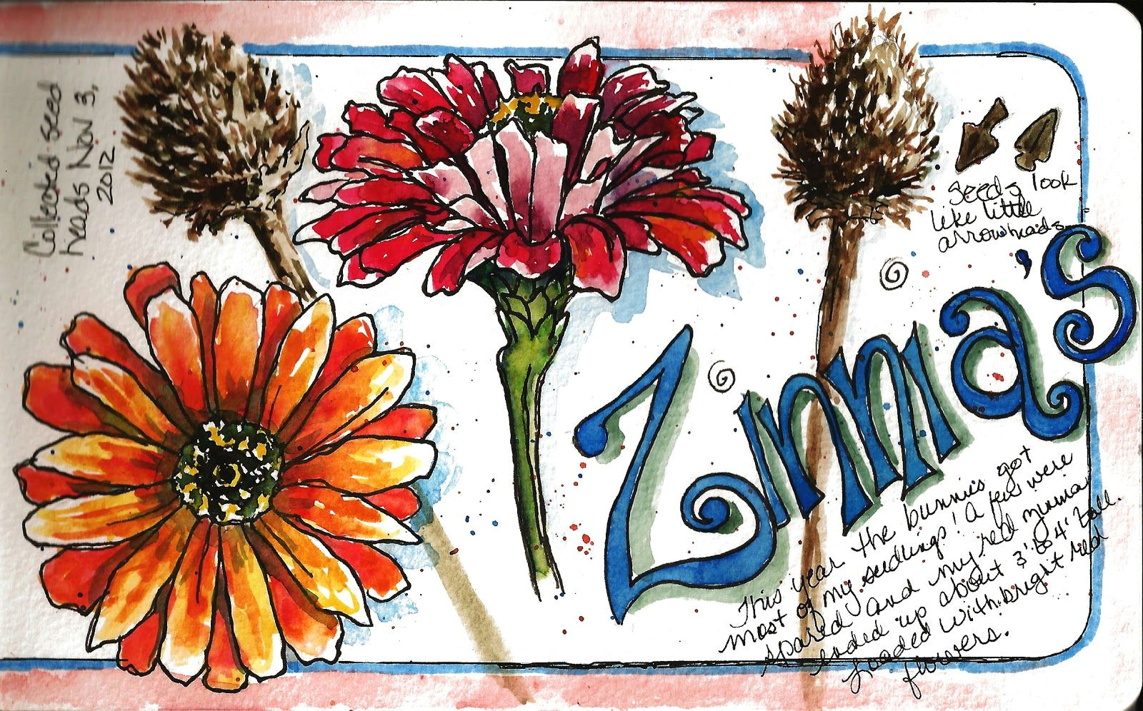 28 best wildflower sketches images meadow flowers beautiful flowers daisies