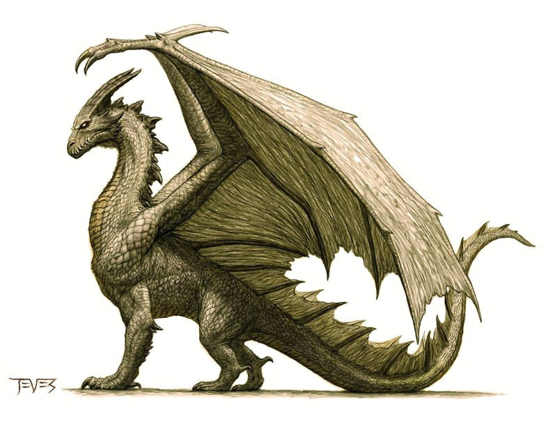 basic dragon painting drawing fairy fantasy art mythical creatures illustration