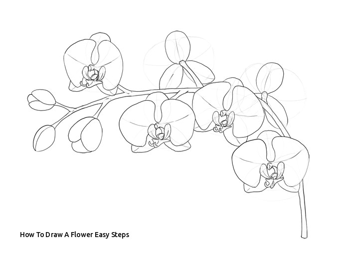 how to draw a flower easy steps how to draw flowers the y and sultry orchid