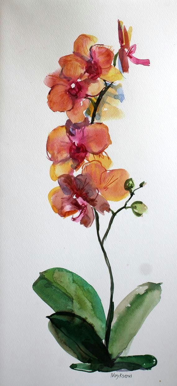 orchid watercolor set of 3 original illustration floral etsy