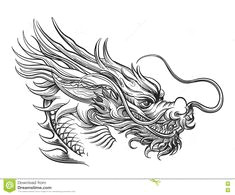 drawn chinese dragon 805 dragon tattoo sketch dragon head tattoo dragon tattoo designs