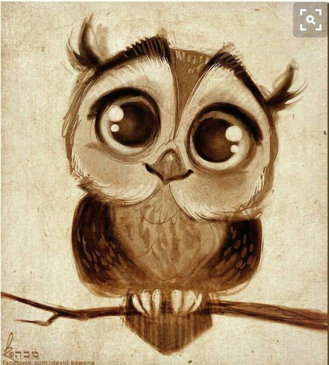 owl drawings cartoon owl drawing cute owl drawing owl cartoon cartoon owl