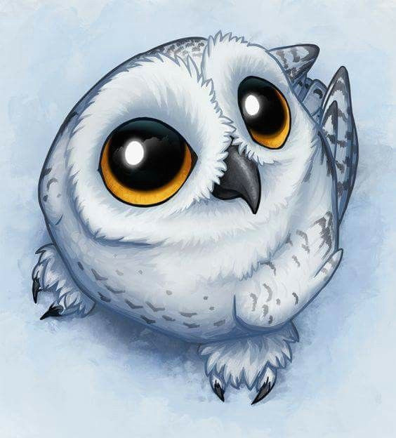 cartoon bird drawing cute owl drawing cartoon eyes owl cartoon baby cartoon