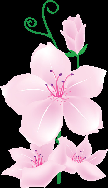 light pink flowers clipart