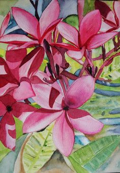 my pink plumeria in watercolour arches watercolor paper watercolor flowers watercolor art
