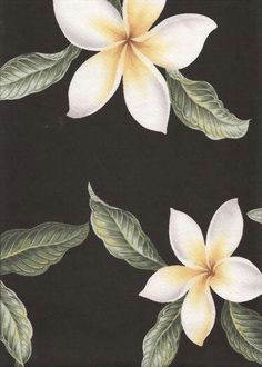 plumeria black tropical hawaiian plumeria frangipani flowers on a cotton upholstery fabric more fabrics at