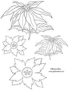 poinsettia christmas embroidery patterns embroidery shop vintage embroidery embroidery stitches machine embroidery
