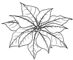 poinsettia free printable 2