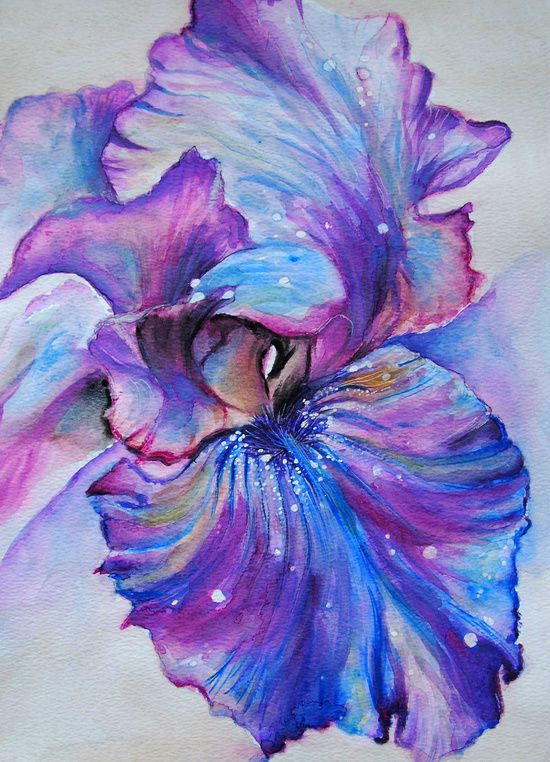 iris art print were i to ever get a galaxy tattoo i would base it off this