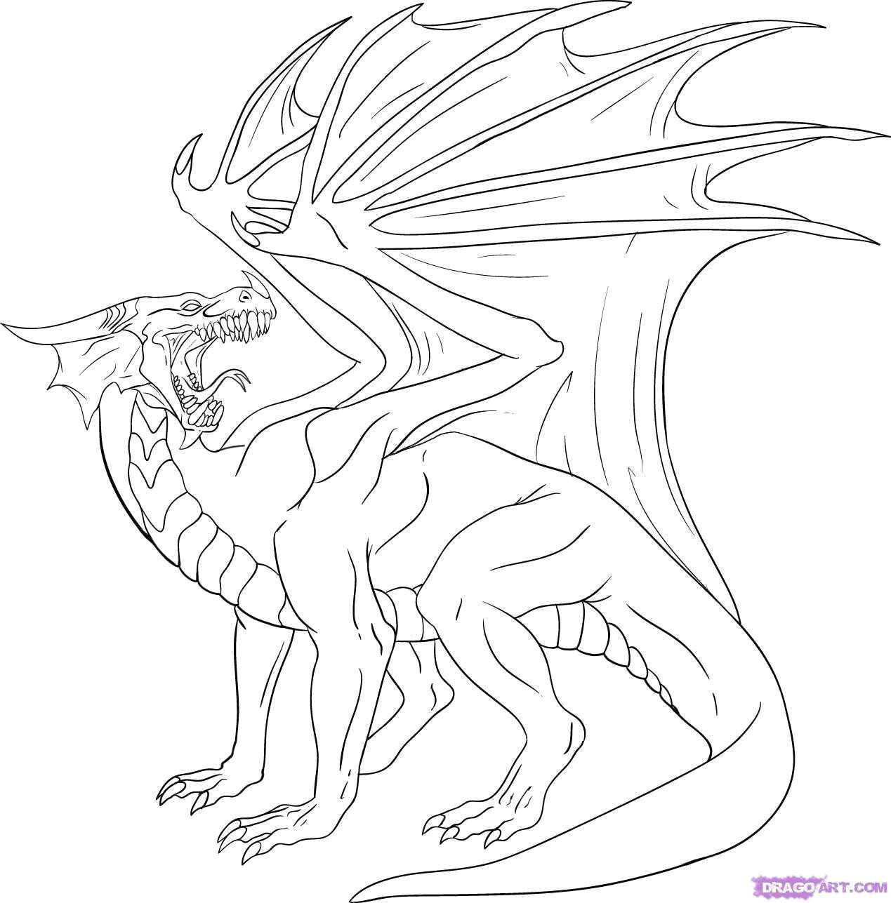 coloring pages of real dragons inspirational dragon drawing pages at getdrawings of coloring pages of real