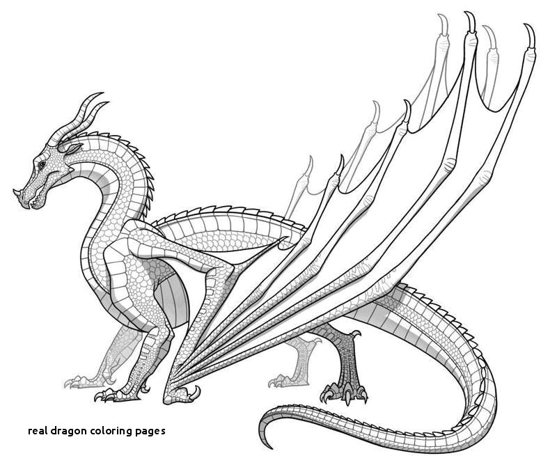 dragon coloring pages luxury 22 real dragon coloring pages of dragon coloring pages elegant coloring page