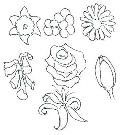 how to draw flowers stage 3 pictures to draw drawing pictures painting tips